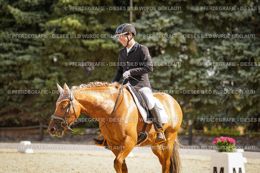 DSC00833 | Pferdegrafie