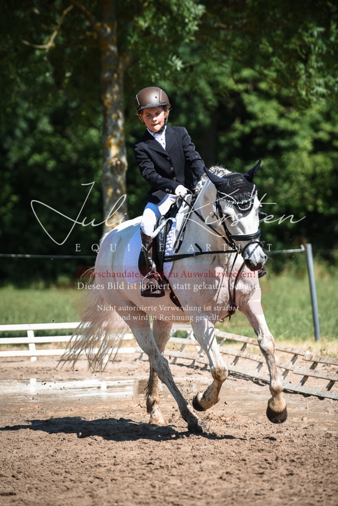 DSC_3608 | Pferde- und Turnierfotografie in Westsachsen. Pferdeportraits, Auftragszeichnungen und intuitive Kunst.