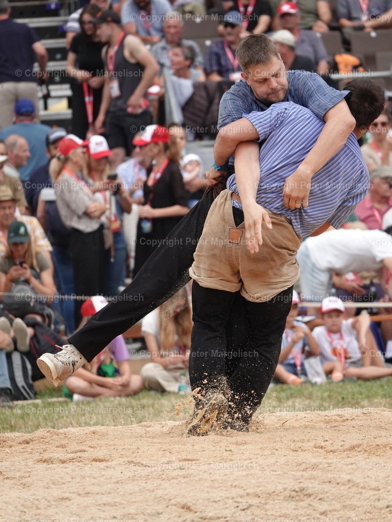DSC05054 | Schwingen - Realisiert mit Pictrs.com