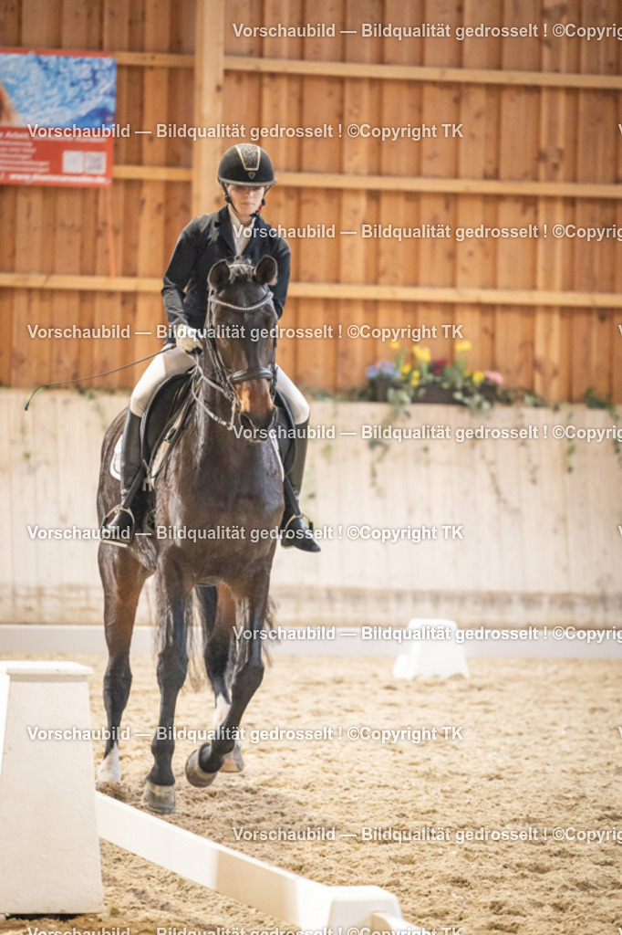 _D5A9755 | Emotionale Pferde- & People-Fotografie rund um Heidelberg, Leimen & Umgebung. Natürliche Fotos von Pferd, Mensch & Familie. Jetzt Termin sichern!