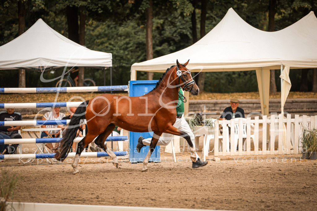 10.-12.Elite00064 | Leoni Ertmer Photography - Realisiert mit Pictrs.com