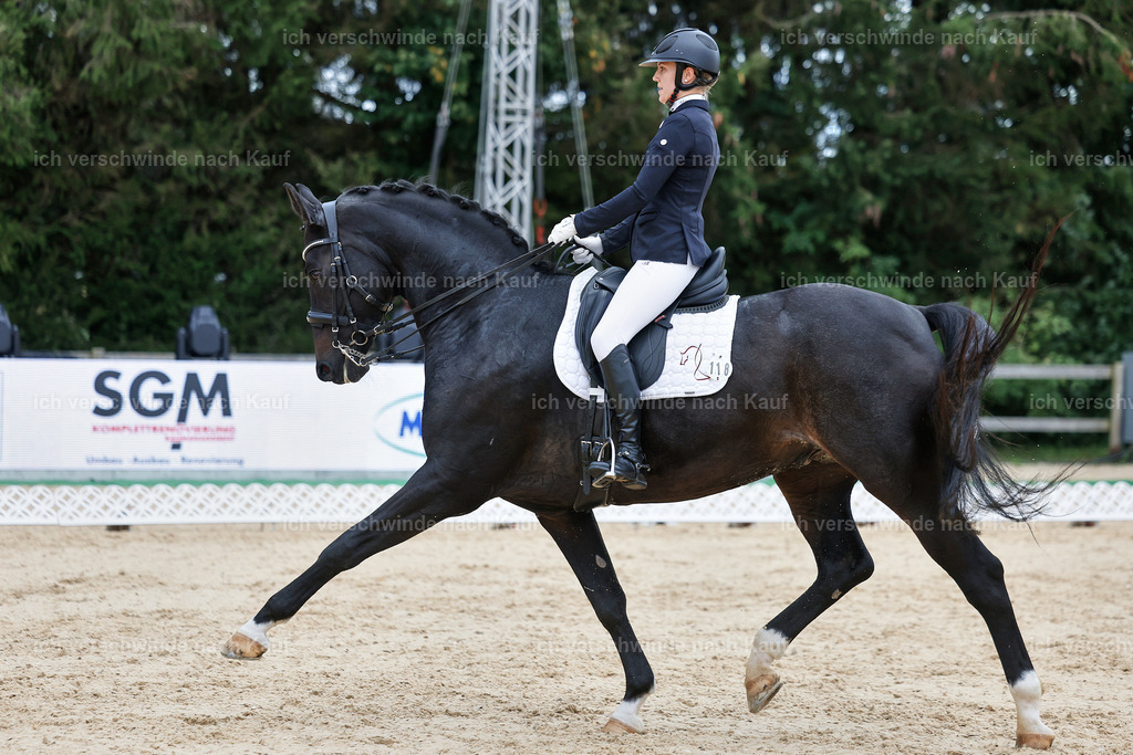 04_1-118-Dressur M__ -StoibPH-StoibPH-2670 | working equitationturnier fotograf videograf stoibphotography marixx film working equitation deutschland reitsport turnierfotografie eventfotografie equestrian events