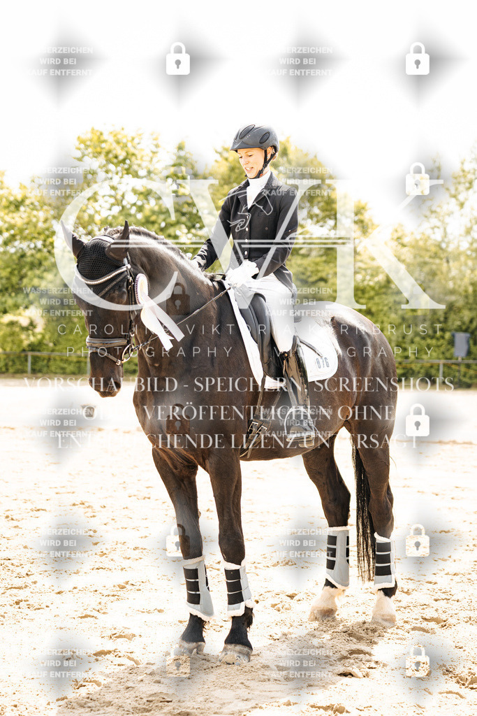 CK703616 | Turnierfotografie Pferdefotografie Trier Rheinland-Pfalz Pferdesport Reitsport Tierfotografie Sportfotografie Pferdevideo Pferdevideografie Equestrianvideography equestrianphotography  - Realisiert mit Pictrs.com