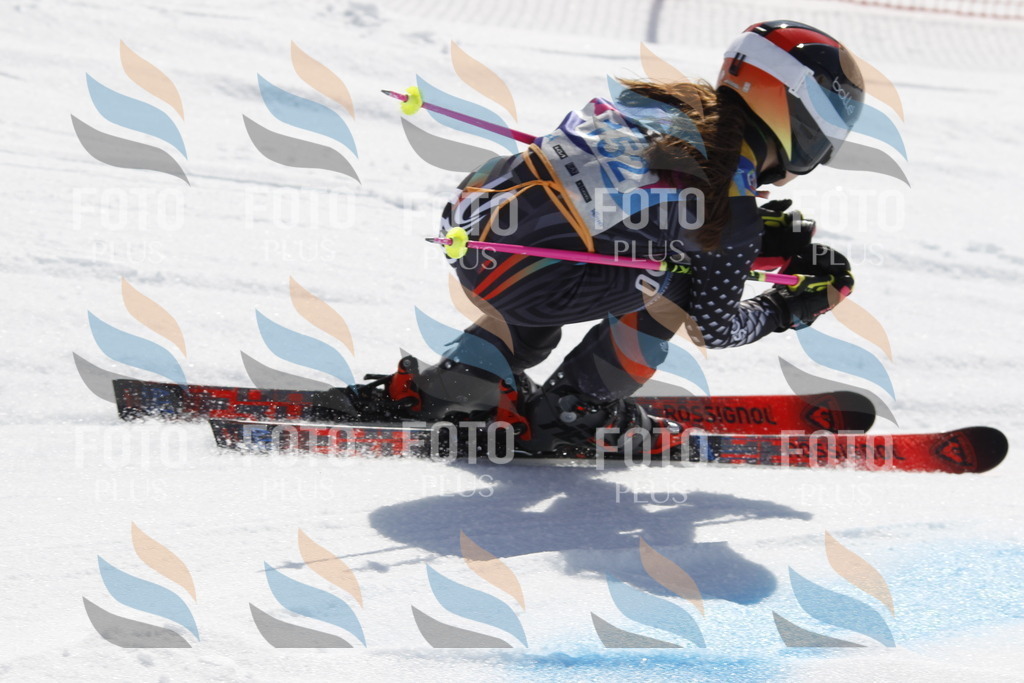 _U3G1272 | holidayphoto