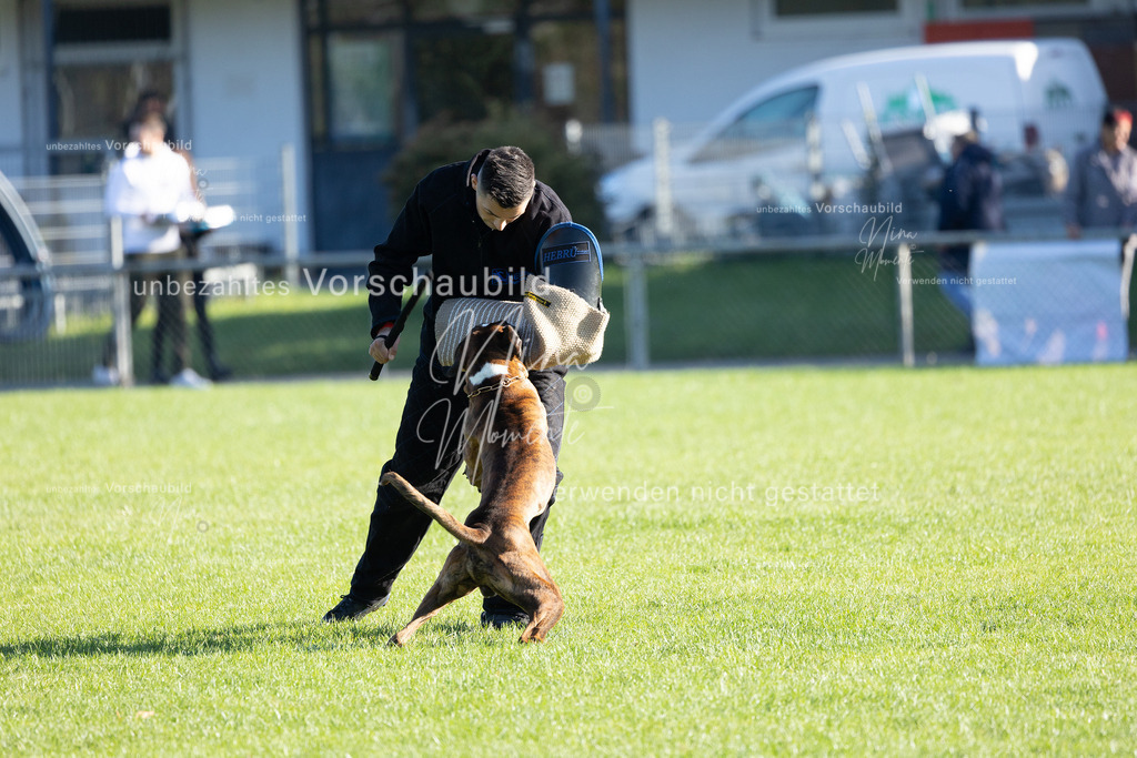 _16A5021 | Einzigartige Fotos von Hunden & Menschen –Actionfotos, Portraits, Vereinsaufnahmen & Paarshootings – authentisch, lebendig & mit Herz.
