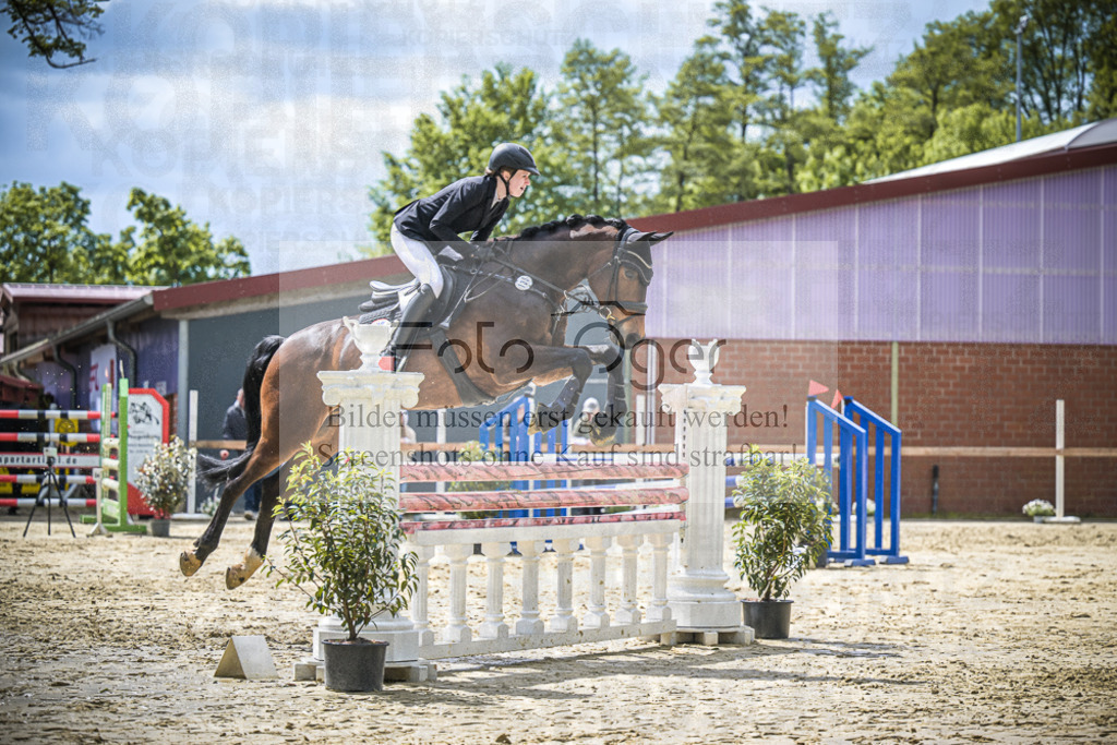 DOS_7799 | Entdecke hochwertige Reitturnierfotos von Foto Oger. Professionell, emotional und authentisch – jetzt Lieblingsmomente im Shop bestellen.Deutschlandweite Turnierfotografie. - Realisiert mit Pictrs.com