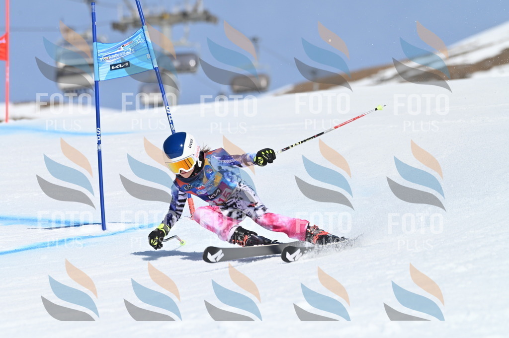 BGV_9721 | holidayphoto