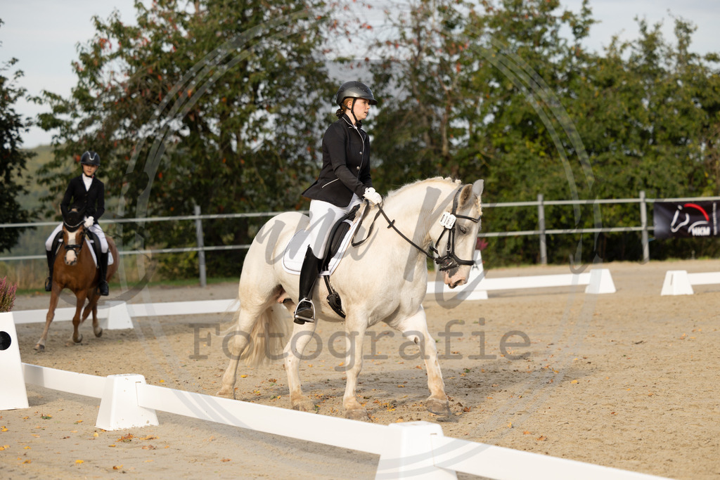 994A0749 | sabrinanicolaifotografie - Realisiert mit Pictrs.com