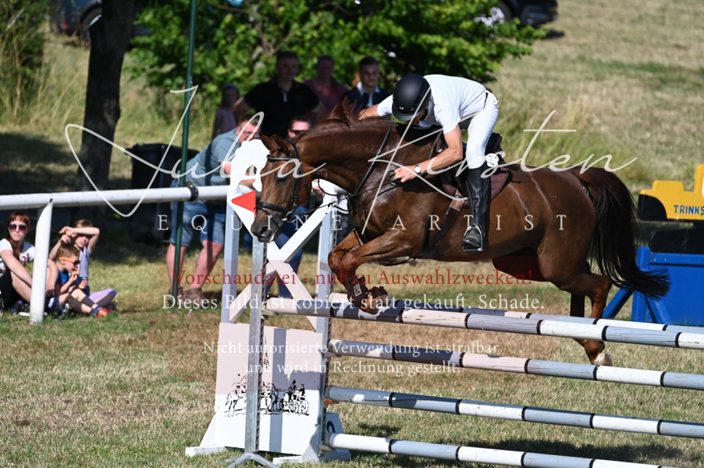 DSC_2274 | Pferde- und Turnierfotografie in Westsachsen. Pferdeportraits, Auftragszeichnungen und intuitive Kunst.