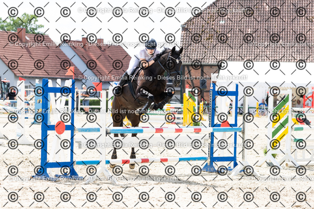 CL5A7052 | Emilia Reinking Fotografie - Realisiert mit Pictrs.com