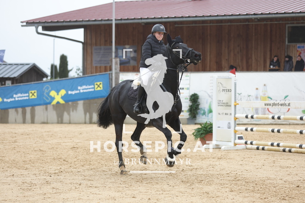0P6A1235 | Willkommen bei Brunnmayr - Design & Fotografie – Ihrem Spezialisten für Reitturniere und Pferdeveranstaltungen in Oberösterreich, Salzburg und Bayern! Seit über 17 Jahren sind wir leidenschaftlich dabei.