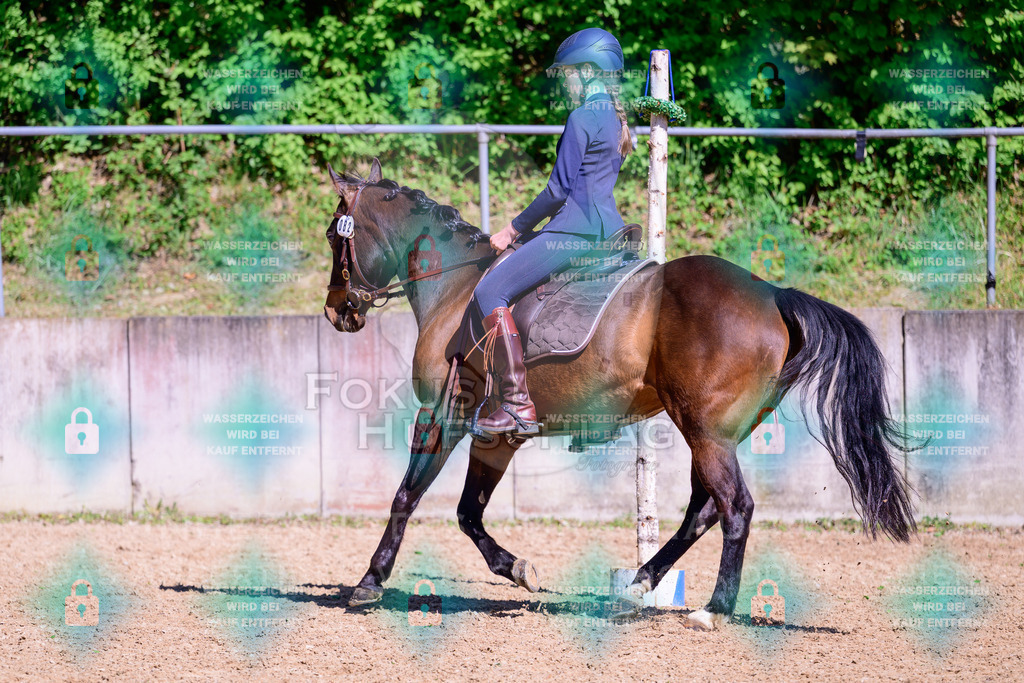 01052026-Giesenbach-02-Stiltrail-0662 | Fokus Hufschlag Fotografie - Realisiert mit Pictrs.com
