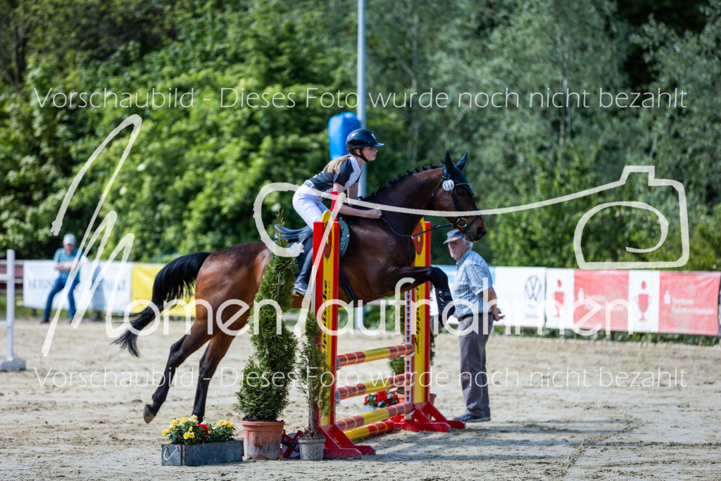 Donop24-ESpr-038 | MomenTaufnahmen Pferdesportfotos