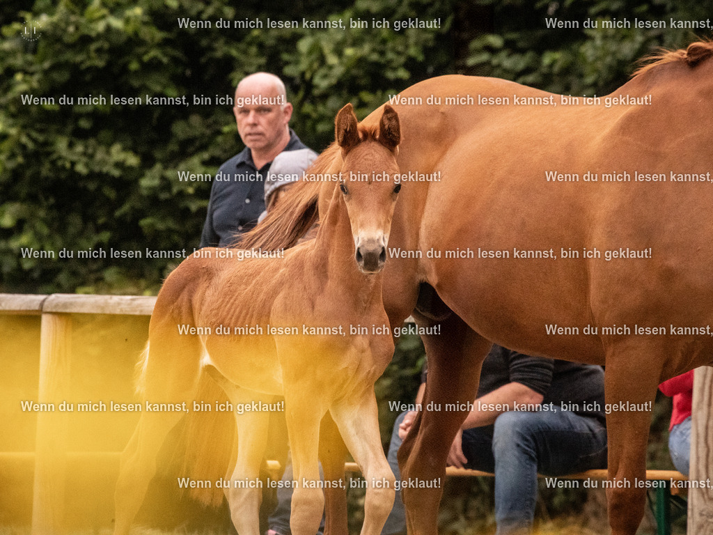 A10I4968 | photographylinaismer - Realisiert mit Pictrs.com