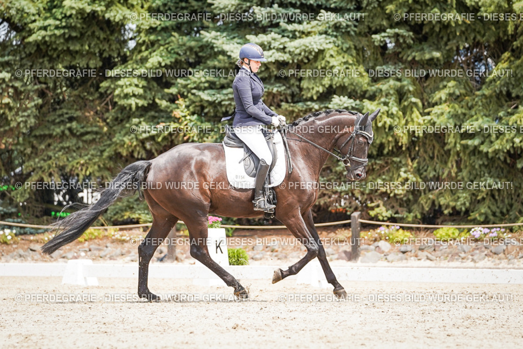 DSC03508 | Pferdegrafie