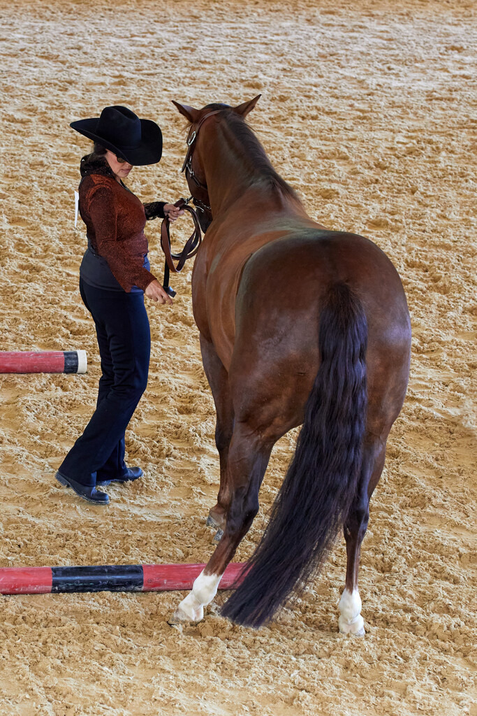 2020_07_19 Schweizersbild 136 | Peter Fridle Fotografie - Realisiert mit Pictrs.com