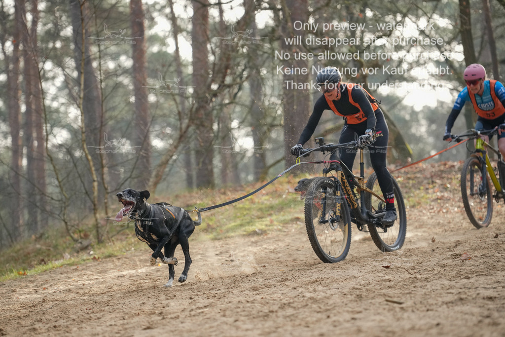 Bike1-60 | stephaniefillaphotographie - Realisiert mit Pictrs.com