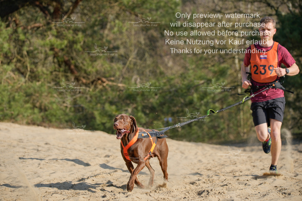 So_CC_lang-250 | stephaniefillaphotographie - Realisiert mit Pictrs.com