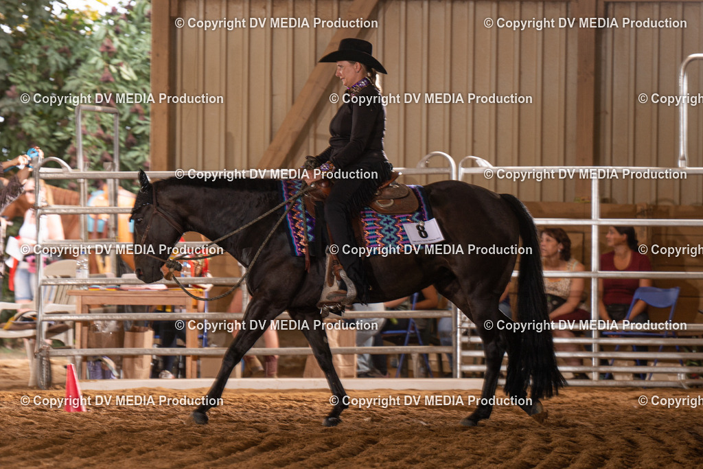 NID00939 | dv-media-shop - Realisiert mit Pictrs.com