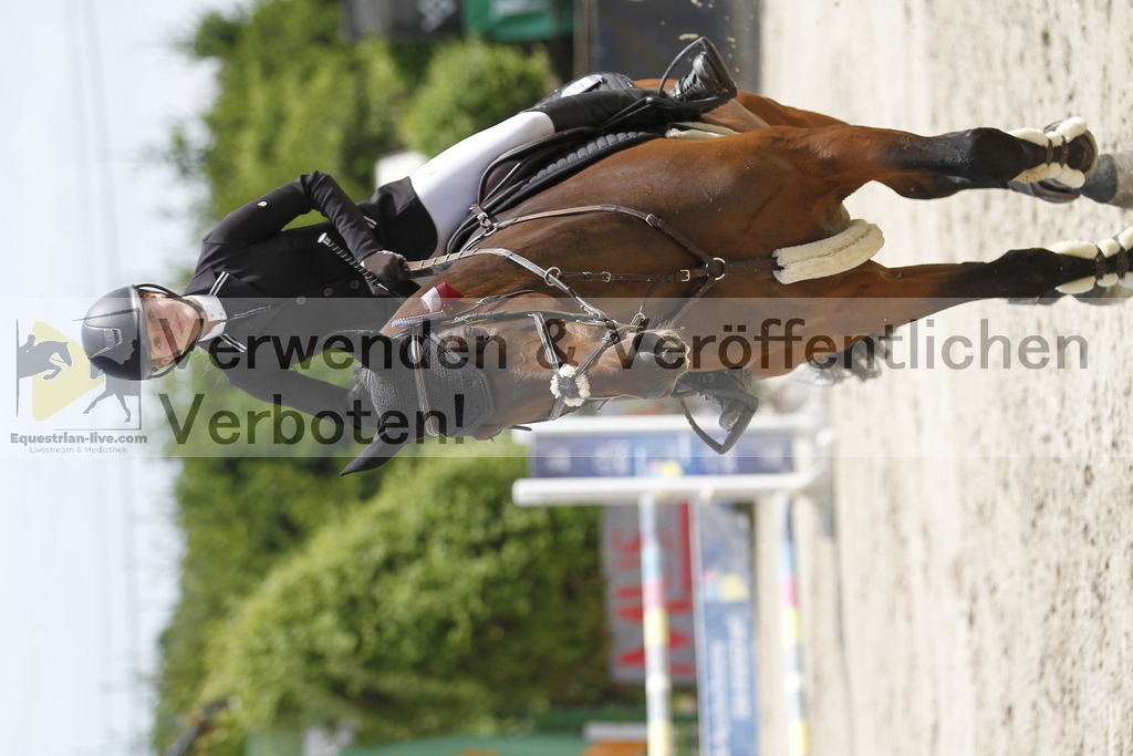 _MG_0074 | equestrian-live-com