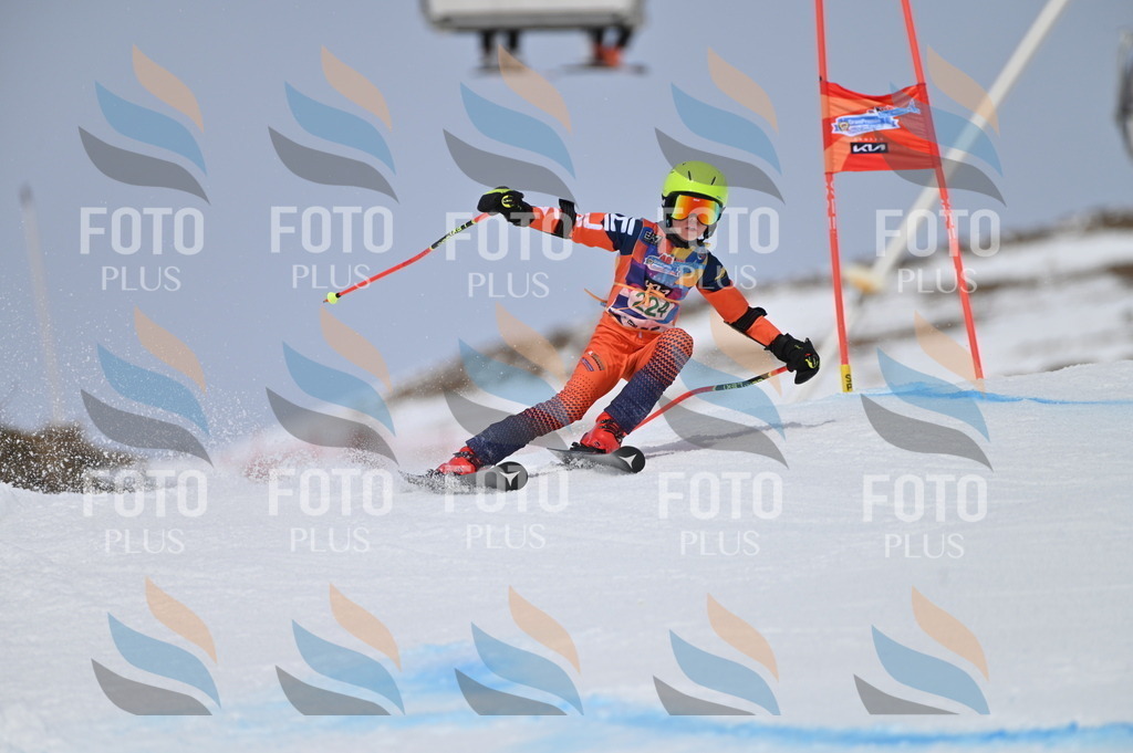 BGV_4402 | holidayphoto