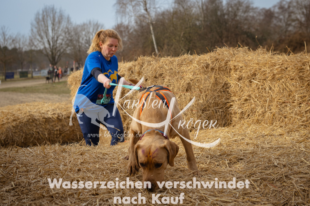 1031_ZZ95881 | kk-dogfotos