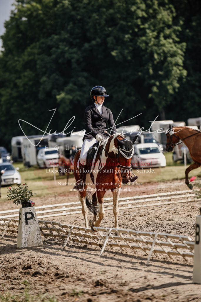 DSC_8793 | Pferde- und Turnierfotografie in Westsachsen. Pferdeportraits, Auftragszeichnungen und intuitive Kunst.