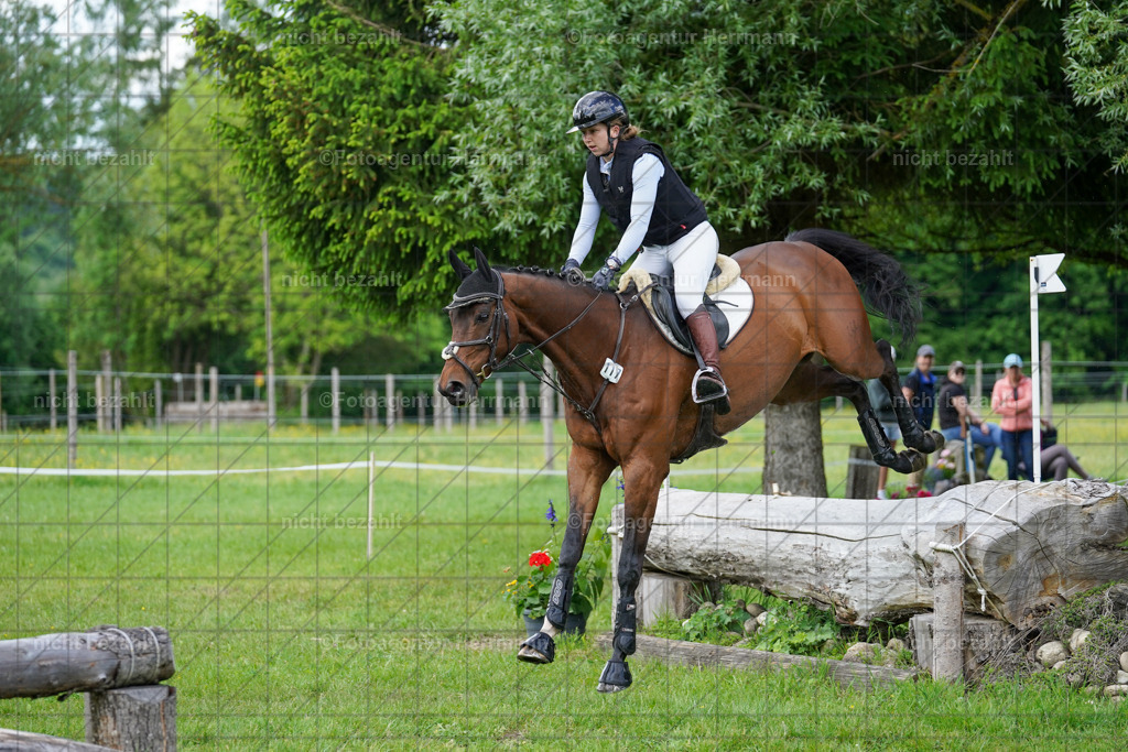 20240518-FAH04212 | Turnierbilder von Niederseon, Turnierfotografen Bayern, Fotoagentur Herrmann, Geländebilder, Reitsportfotografie