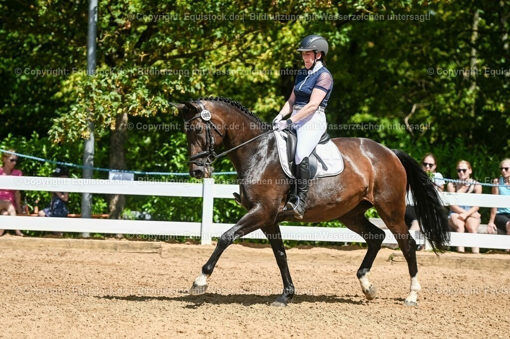 20230715_02_Dressurreiterprüfung Kl.L_0122 | equistock