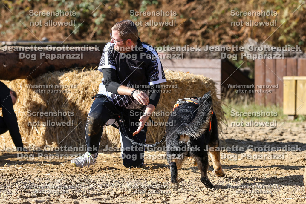 Dog Paparazzi - Strongdog 10-25-4809 | Dog Paparazzi Jeanette Grottendiek Fotografie & Videografie - Realisiert mit Pictrs.com