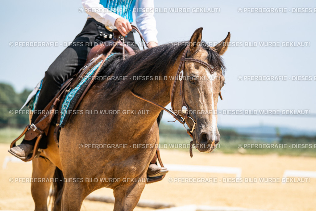 DSC00955 | Pferdegrafie