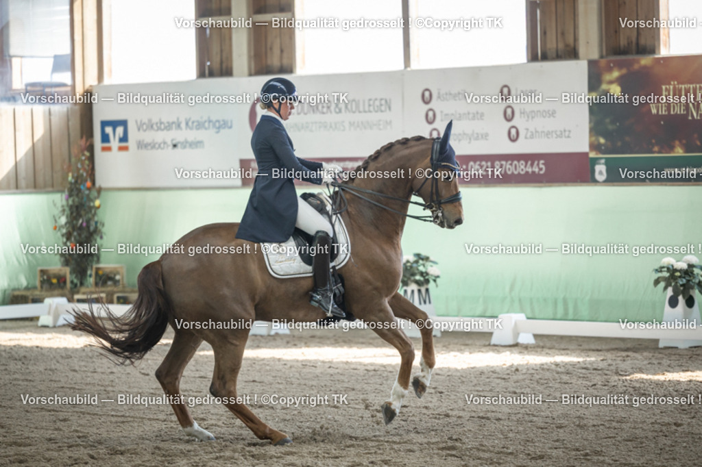 _D5A9645 | Emotionale Pferde- & People-Fotografie rund um Heidelberg, Leimen & Umgebung. Natürliche Fotos von Pferd, Mensch & Familie. Jetzt Termin sichern!