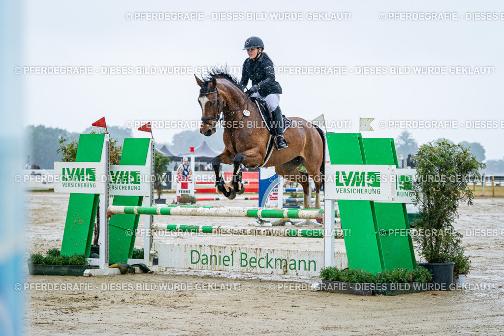 DSC03005 | Pferdegrafie