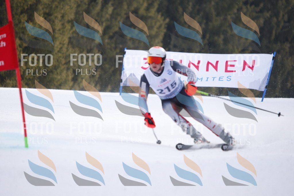 D8313 | holidayphoto