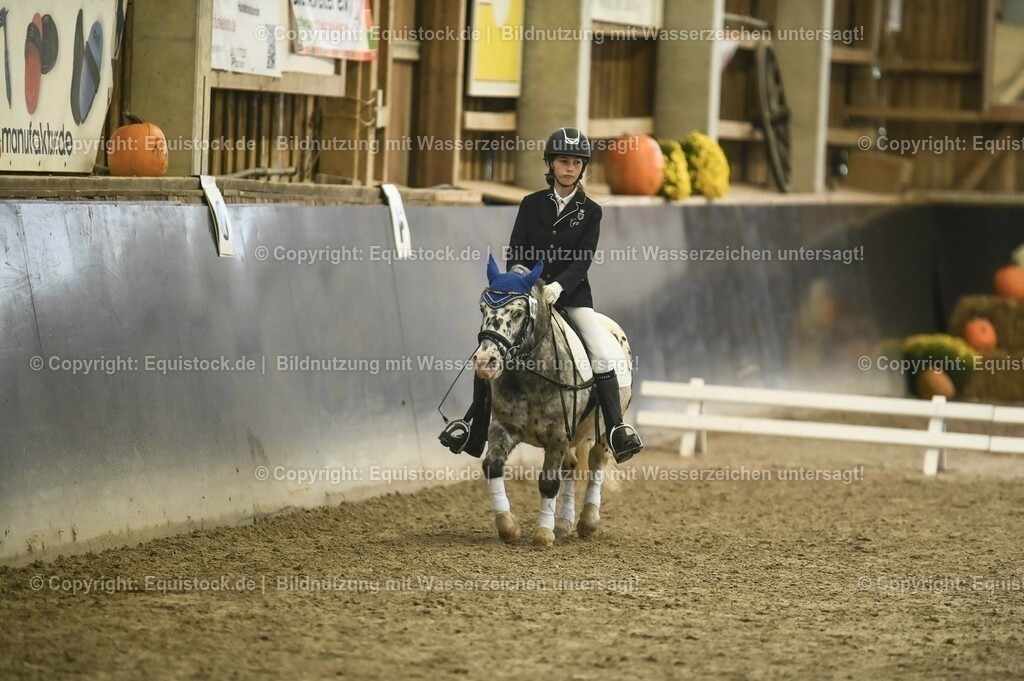 20231029_02_Reiter-WB_Schritt-Trab-Galopp_Abteilung-01_0010 | Foto: Thomas Hartig
