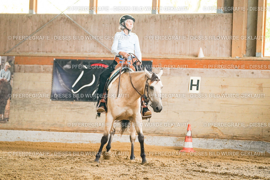 DSC05355 | Pferdegrafie