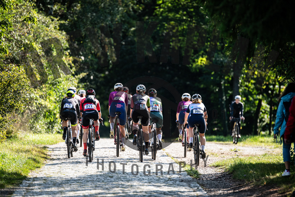 DKP-0175 | Drew Kaplan Photography