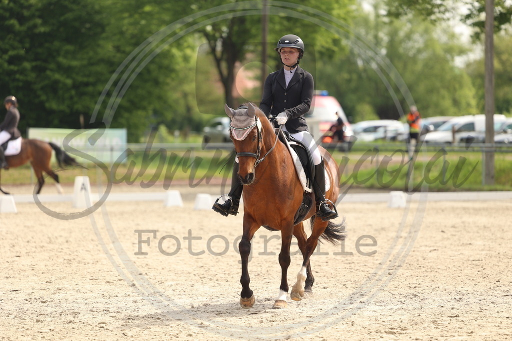 994A6812 | sabrinanicolaifotografie - Realisiert mit Pictrs.com