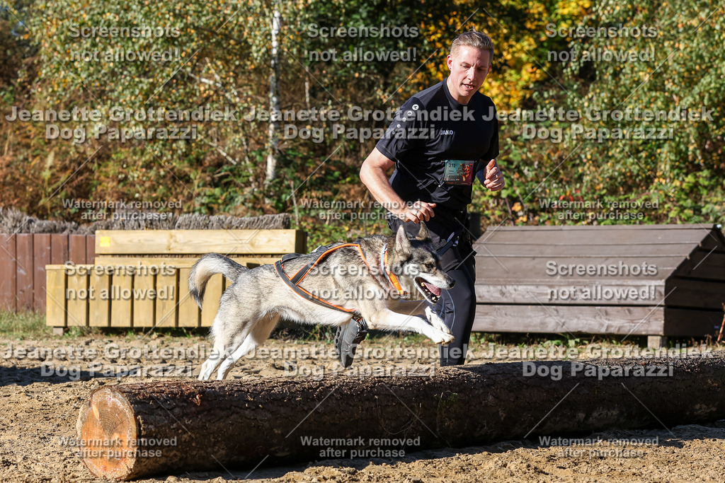 Dog Paparazzi - Strongdog 10-25-2406 | Dog Paparazzi Jeanette Grottendiek Fotografie & Videografie - Realisiert mit Pictrs.com