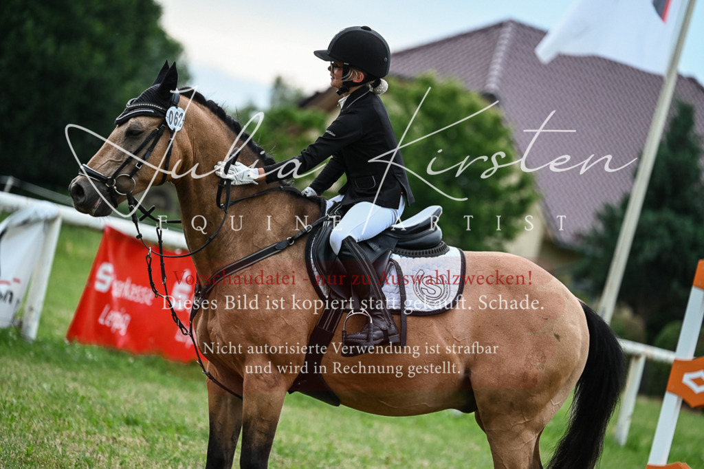 DSC_8591 | Pferde- und Turnierfotografie in Westsachsen. Pferdeportraits, Auftragszeichnungen und intuitive Kunst.