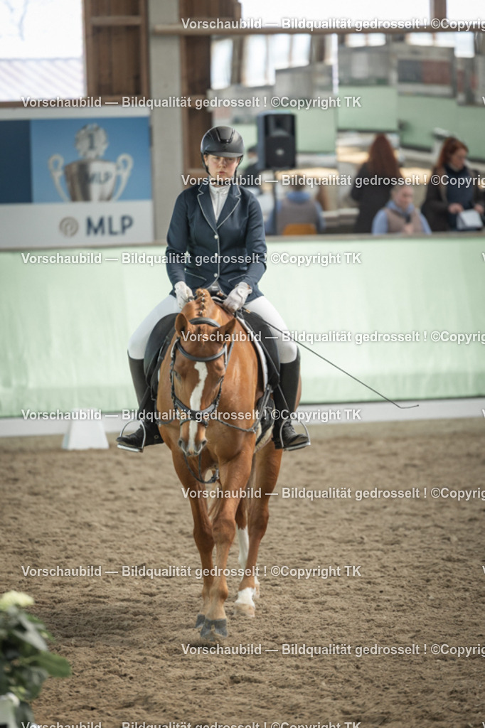 _D5A5571 | Emotionale Pferde- & People-Fotografie rund um Heidelberg, Leimen & Umgebung. Natürliche Fotos von Pferd, Mensch & Familie. Jetzt Termin sichern!