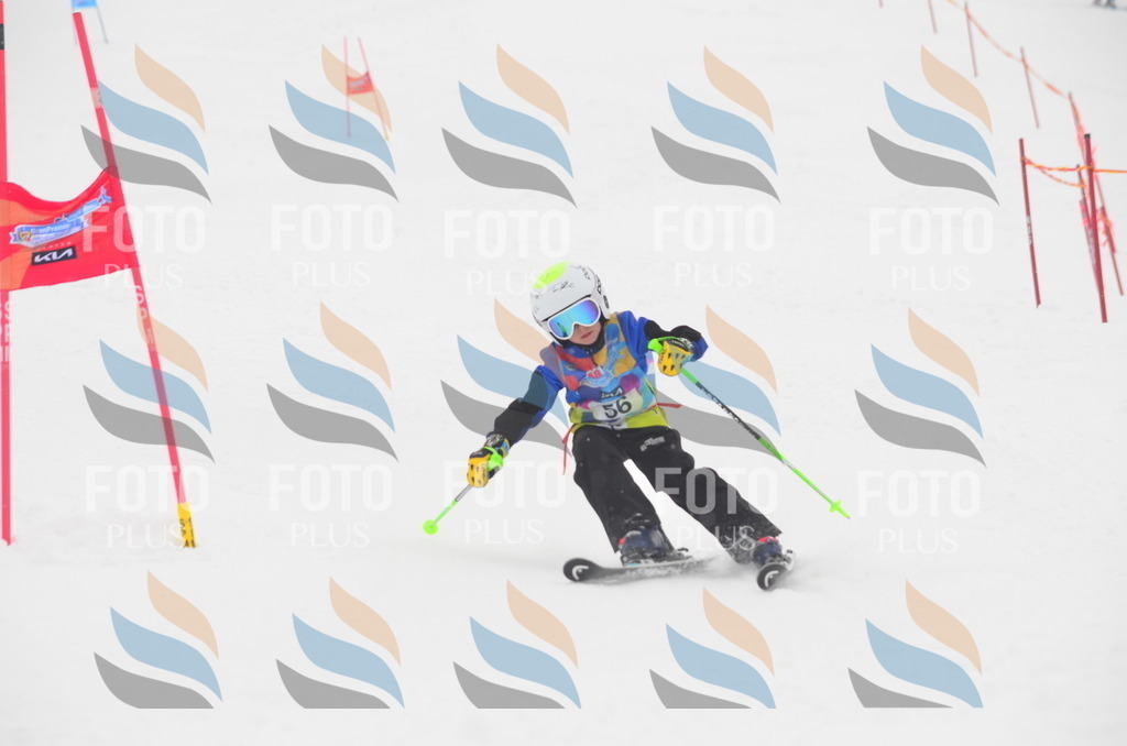 C1003 | holidayphoto