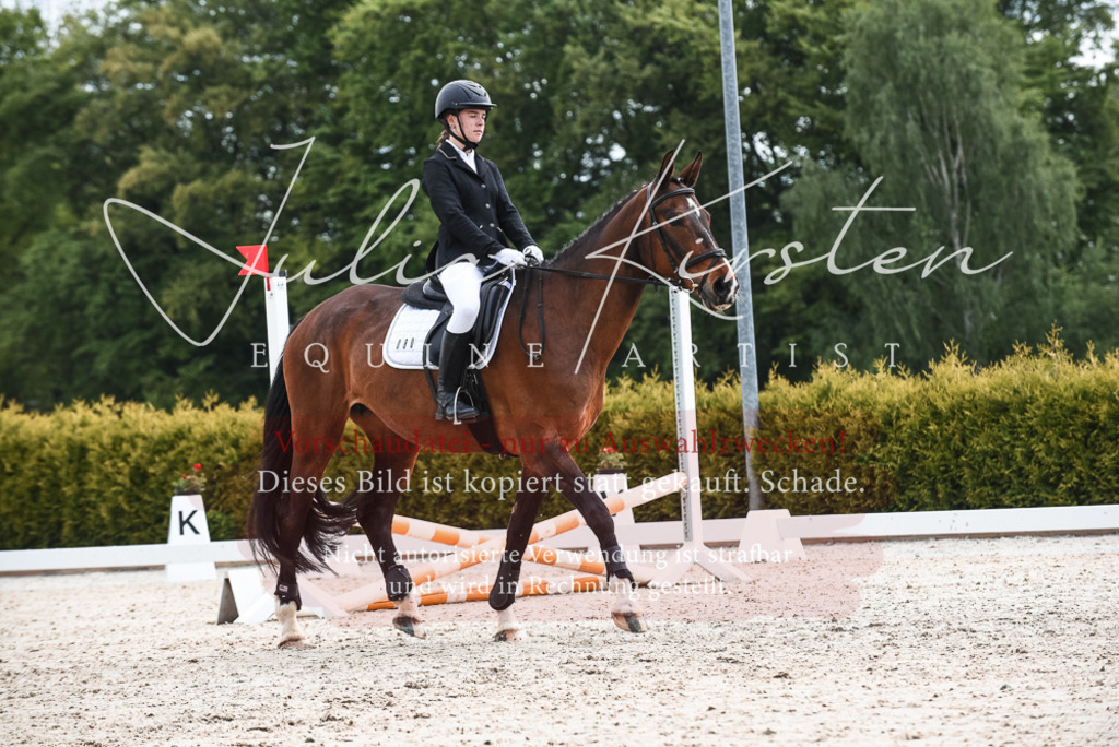 20230518_JK-Röhrsdorf-10-160 | Pferde- und Turnierfotografie in Westsachsen. Pferdeportraits, Auftragszeichnungen und intuitive Kunst.