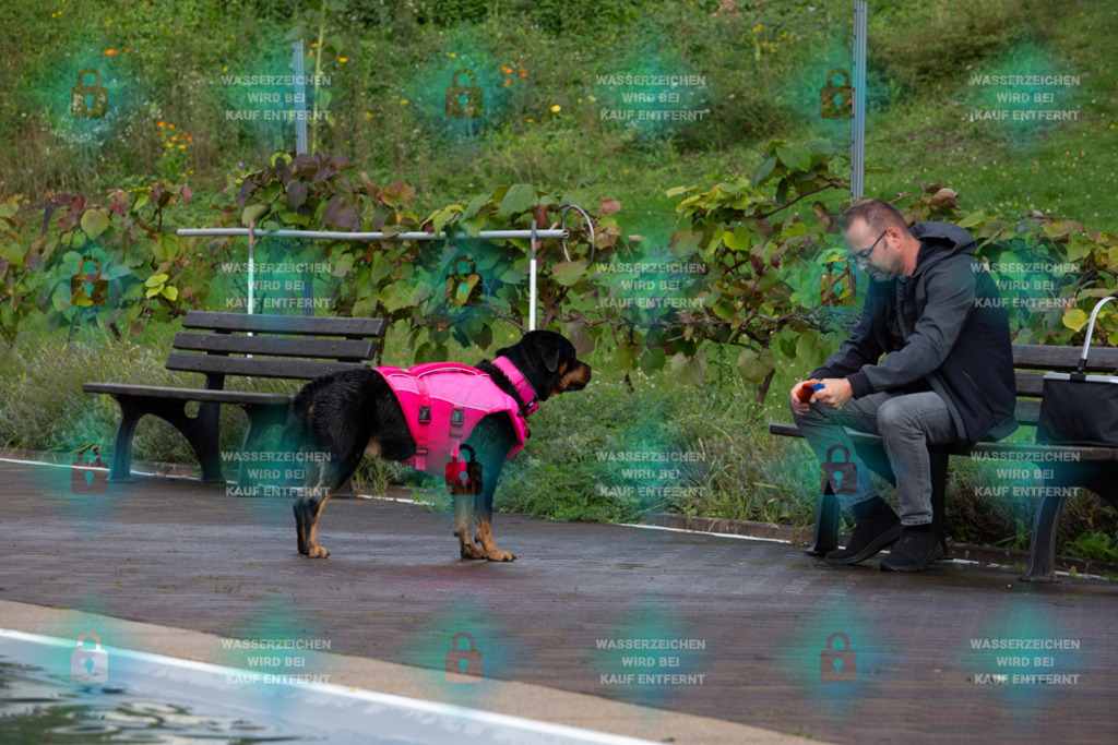 _HP_7593_1000o | HetPix, HetPix Fotodesign, Fotografie, Fotodesign, Webshop, Sportfotografie, Portraitfotografie, Onlineshop, Sportfotografie, Polch, Motorsportfotografie, Eventfotografie