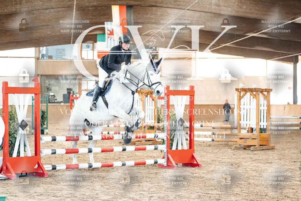 CK903957 | Turnierfotografie Pferdefotografie Trier Rheinland-Pfalz Pferdesport Reitsport Tierfotografie Sportfotografie Pferdevideo Pferdevideografie Equestrianvideography equestrianphotography  - Realized with Pictrs.com