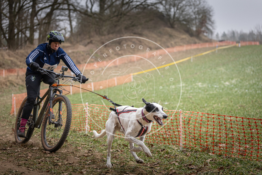 Pfotenfotografie_DV3A5175 | Hundefotografie, Tierfotograf, Pfotenfotografie, Fotoshooting Hund, Hunde Portrait, Hundesport, Hundeportraits, Heideshooting, Hunde, Sportfotograf, Hundefotograf, Turnierhundsport, THS,  - Realisiert mit Pictrs.com