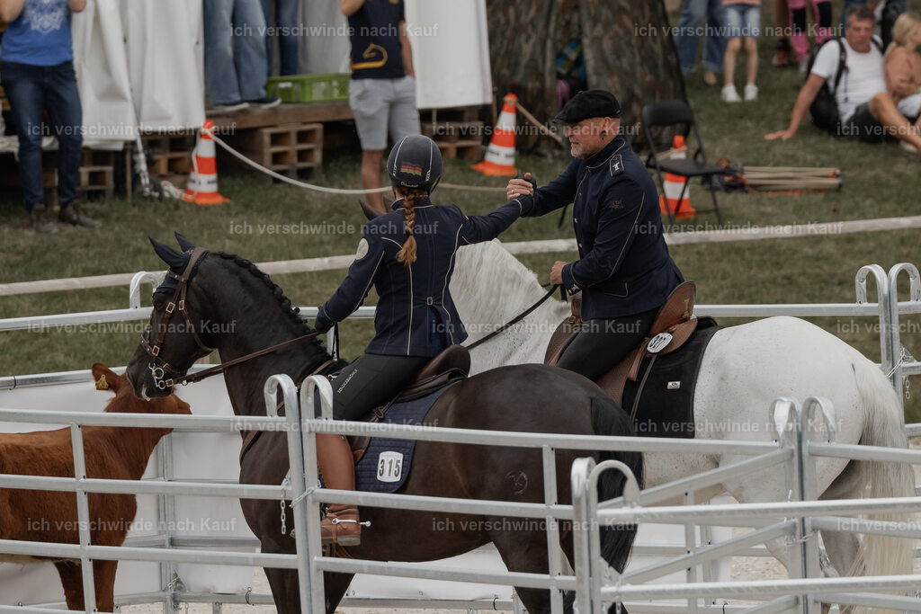 WE__Stoib_Rinder_PI2025_2993 | Pferd International München 2025