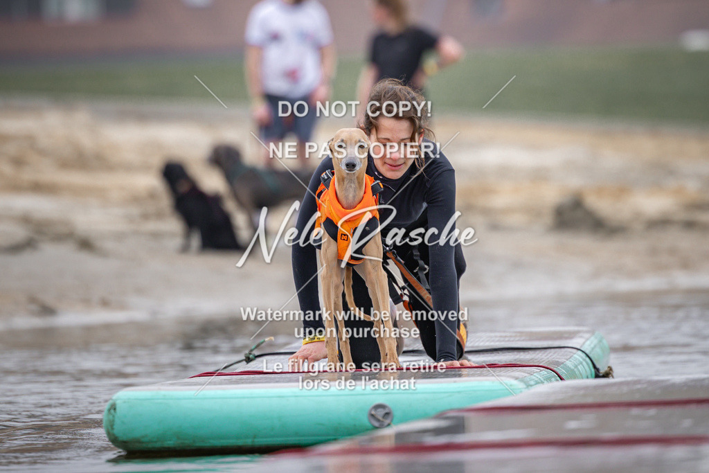 nelerasche_Hulsbeek_Sa0845-1030_251 | nelerasche