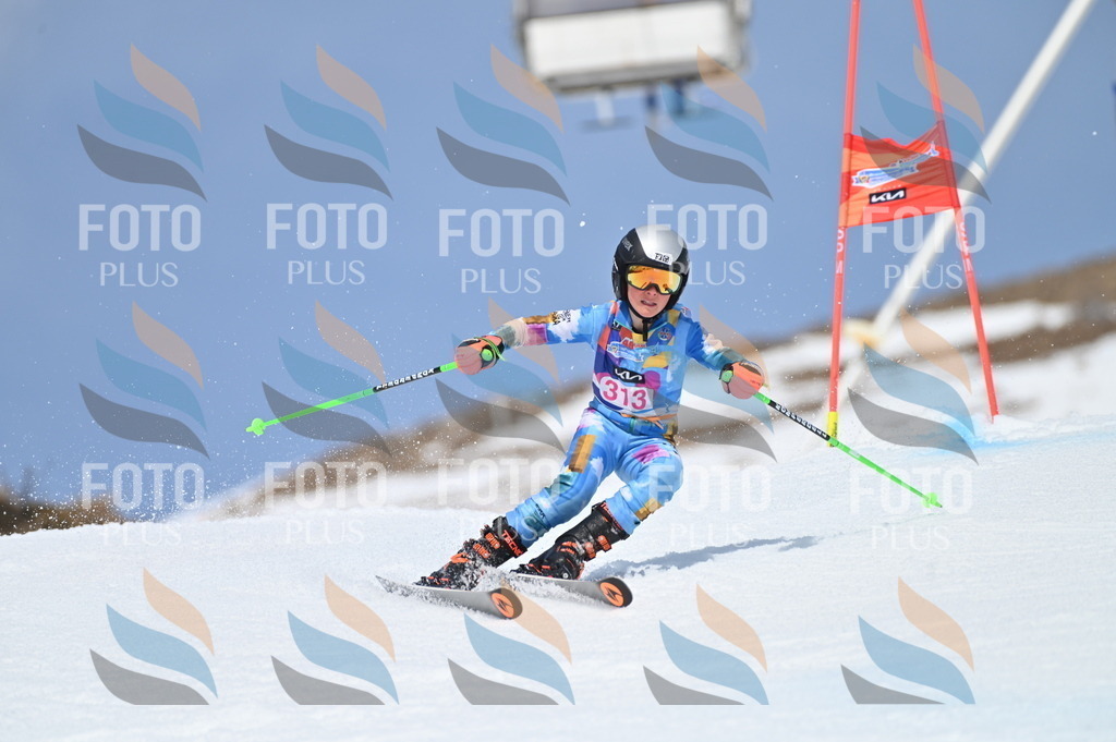 BGV_3001 | holidayphoto