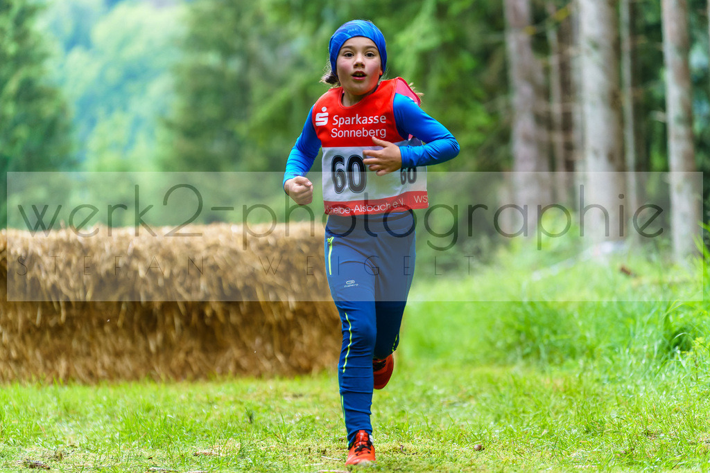 Hindernis-Cross Scheibe-Alsbach | Biathlonanlage "Am Rußtiegel" am 15. Juni 2024